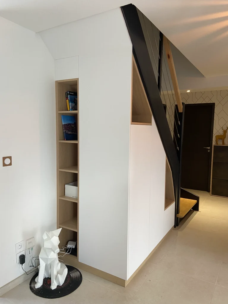 rangements fonctionnels sous escalier