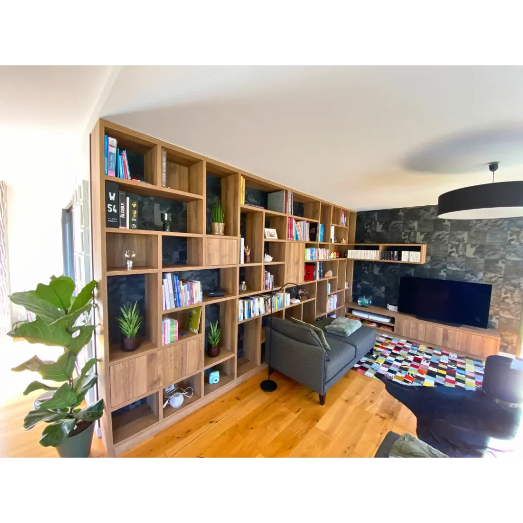 séjour salon moderne sur mesure bibliothèque meuble tv